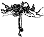 Orientacion vocaciomal - Claudia Messing